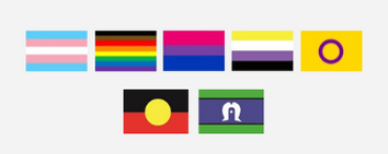 LGBTIQ FLAGS